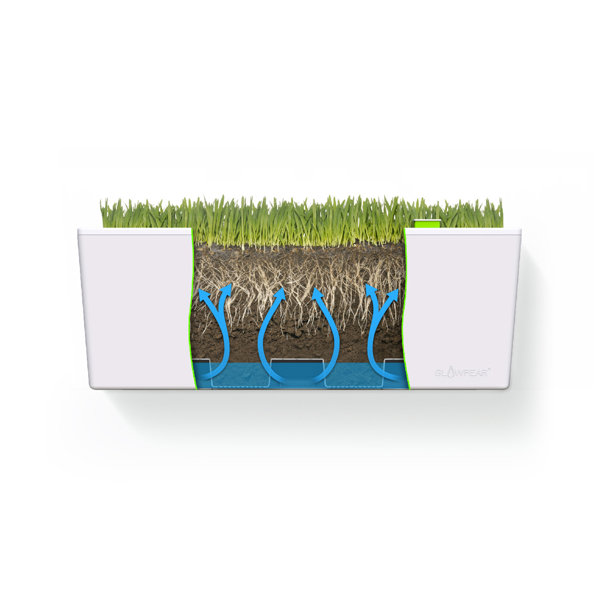 Symple Stuff Trotwood SelfWatering Plastic Wall Planter & Reviews